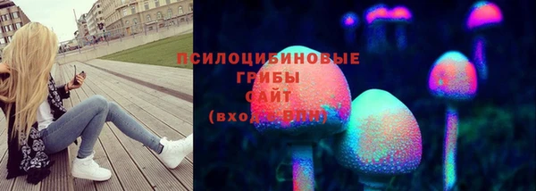мескалин Богородицк