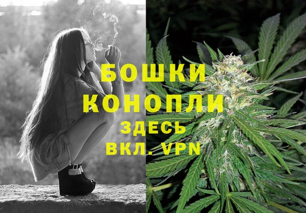 мескалин Богданович