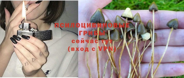 первитин Богородск