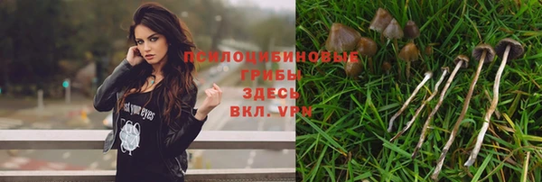 мескалин Богородицк