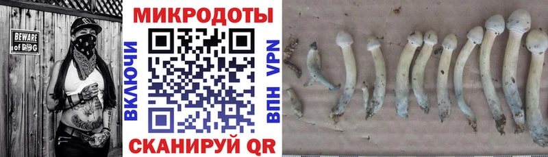 купить наркоту даркнет как зайти Псилоцибиновые грибы ЛСД Дмитров