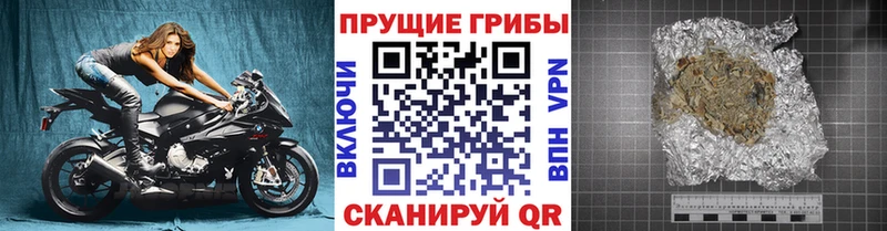 Псилоцибиновые грибы Cubensis Дмитров